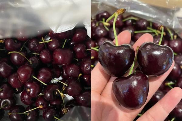 告别“不包邮”！京东生鲜车厘子首次配送进新疆，最快明日达 