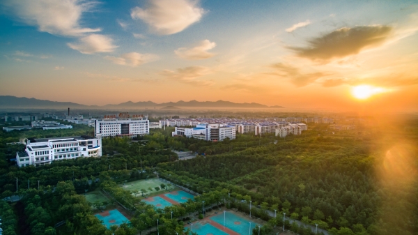 “星”辉引路，向“新”而行：民企创新当学“鲁南”这“三股劲” 