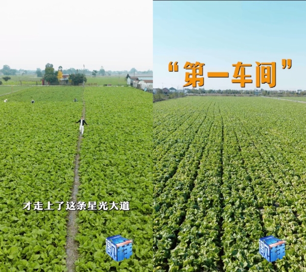 现场探秘：让信任被看见，统一老坛如何以内容共创开启透明新叙事 