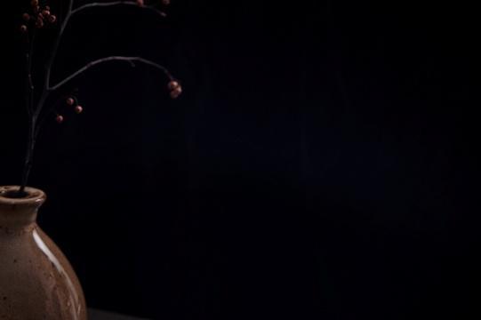 荷美尔®和牛牛肉干旗舰上市 严选珍稀和牛风味，引领品质零食臻味新境 