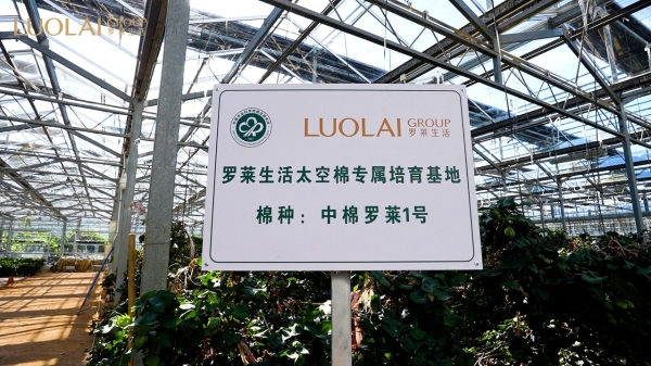  罗莱生活交流团赴中棉所三亚基地考察交流，溯源航天棉种，共探科技棉种与超柔未来 