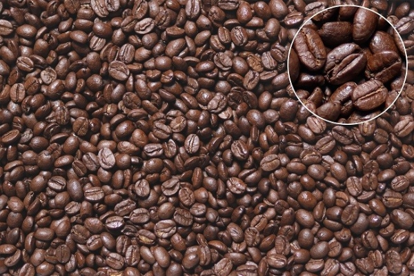  原厂F1.2杀入三千元后 佳能APS-C专微镜头如何选？ 