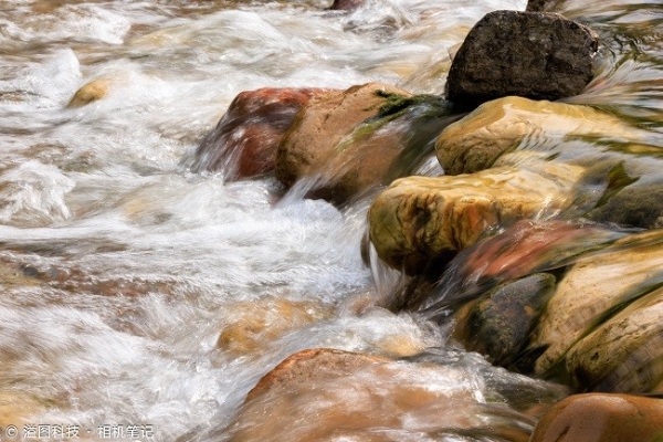  原厂F1.2杀入三千元后 佳能APS-C专微镜头如何选？ 