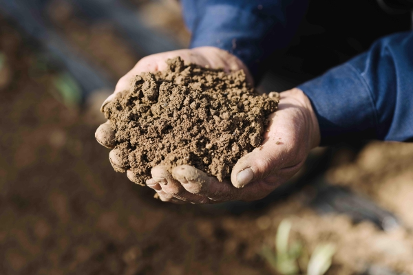 世界土壤日：朝日唯品发布《土壤白皮书》，20余年循环农作读懂土壤语言 