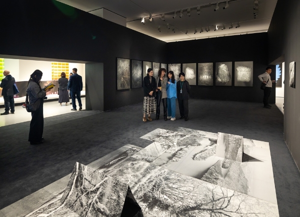  “广州影像三年展 2025 ”启幕：以 “感知生态学” 重构数字时代的视觉对话 