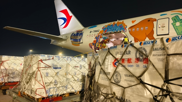 两万公里的“空中动脉”：东航最长航线拓宽南美与中国贸易通道 