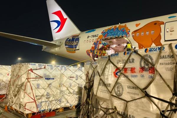 两万公里的“空中动脉”：东航最长航线拓宽南美与中国贸易通道 