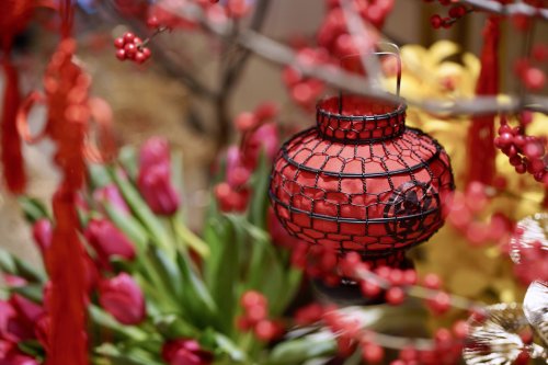 泰国四季度假酒店喜迎火马之年，开启新年焕新之旅 