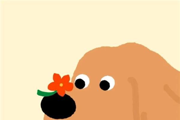 新知造发布 2026 战略升级：从 IP 授权，走向情绪驱动的 IP 商业体系 