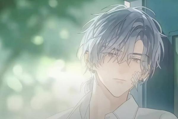 鸿蒙版新闻阅读App年度答卷：从“能用”到“好用”，体验给满分 