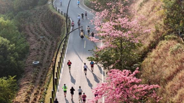 回归线上逐山野 岭南文脉伴征程 2025中国山马越野系列赛（广州从化站）暨“香港赛马会”广州从化山马越野赛成功年度收官 