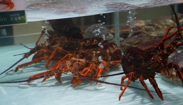 聚餐食材、酒水饮料、出行日用……元旦在京东七鲜超市一站式购齐！