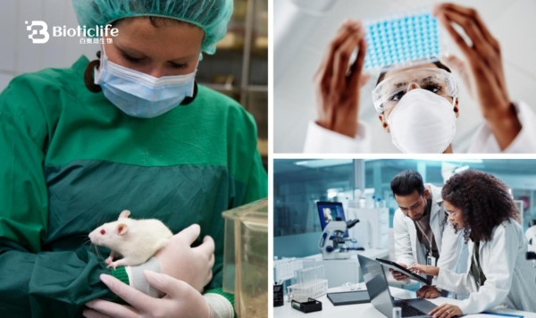 从动物模型到人体应用：百奥蒂推动再生医学关键跃迁 