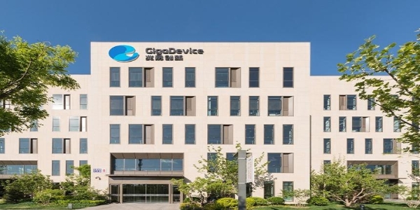 在“超级周期”中锻造存储行业竞争力：兆易、长鑫的协同进阶 