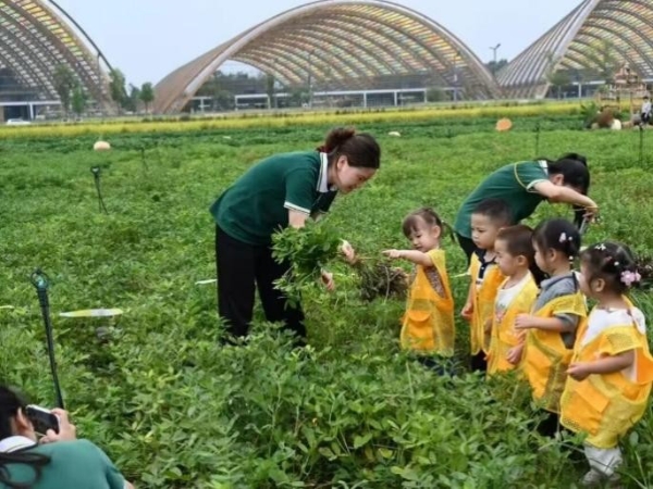 解锁都喜系酒店冬日疗愈指南：温泉私汤暖身、泰式SPA养心