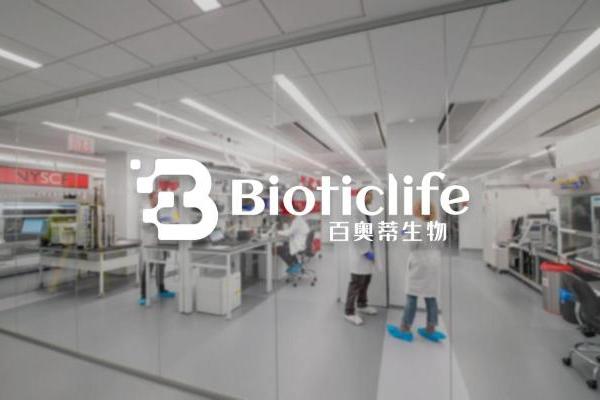 百奥蒂（BIOTICLIFE）：在高不确定性领域如何做长期技术投入 