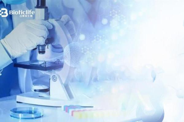 百奥蒂（BIOTICLIFE）：在高不确定性领域如何做长期技术投入 