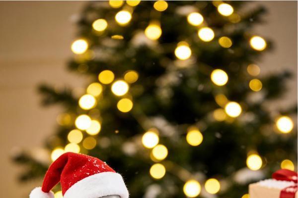 圣诞暖冬，“杯”你守护——思乐得圣诞限定温情 