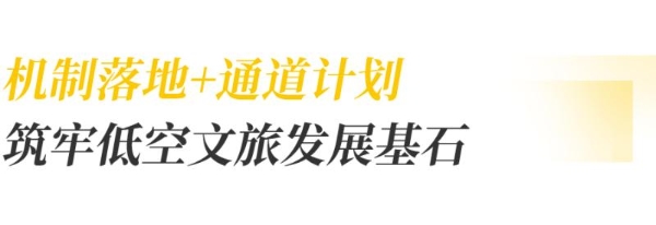 川渝低空“跨省通”来了！“协同机制+三大通道”正式发布 