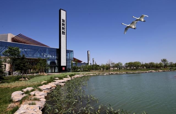 当传统智慧遇见现代科学，东阿阿胶以科技赋能推动中医药现代化 