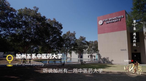 当传统智慧遇见现代科学，东阿阿胶以科技赋能推动中医药现代化 