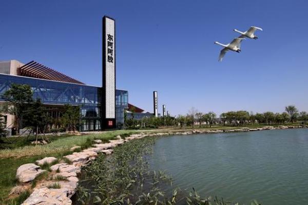 当传统智慧遇见现代科学，东阿阿胶以科技赋能推动中医药现代化 