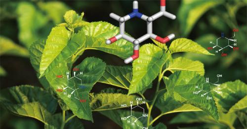 五和博澳用于多囊卵巢综合征治疗的桑枝总生物碱片（WH007）获批临床试验 