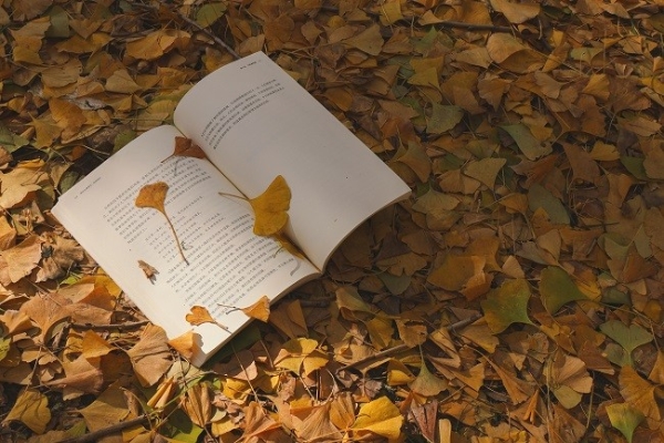 佳能EOS R50 V旅行摄影师的4K Vlog创作必备神器 