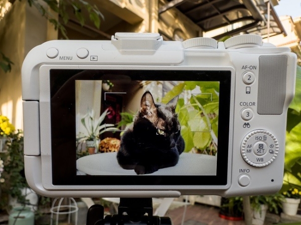 佳能EOS R50 V旅行摄影师的4K Vlog创作必备神器 