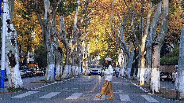 佳能EOS R50 V旅行摄影师的4K Vlog创作必备神器 