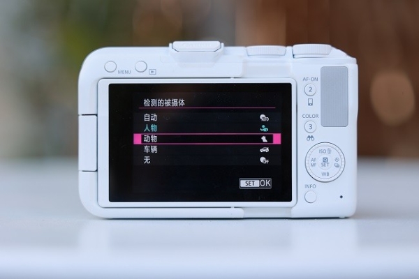 佳能EOS R50 V旅行摄影师的4K Vlog创作必备神器 