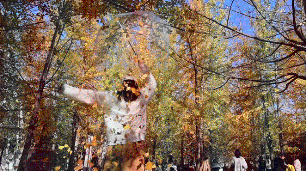 佳能EOS R50 V旅行摄影师的4K Vlog创作必备神器 