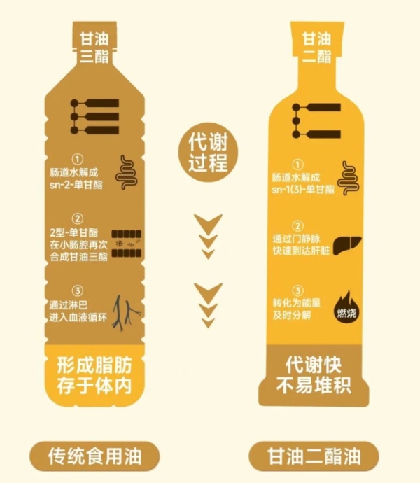 科学守护中老年人健康，爱纯萃甘油二酯食用油为家庭美好生活筑牢基石 