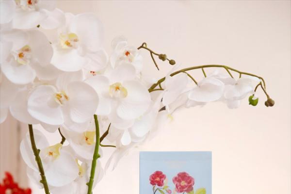 玫莉蔻三款面膜，拒绝肌肤干老黄，以玫瑰织就温柔“铠甲” 