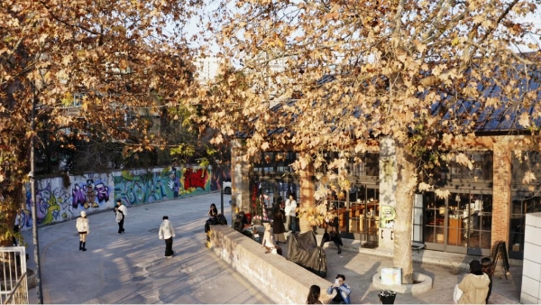 老城区打卡新选择 贵阳零五文体园让老市场换新颜 