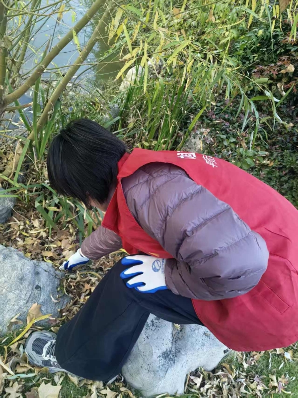 平安融易徐州分公司：践行绿色金融 守护城市“绿心” 