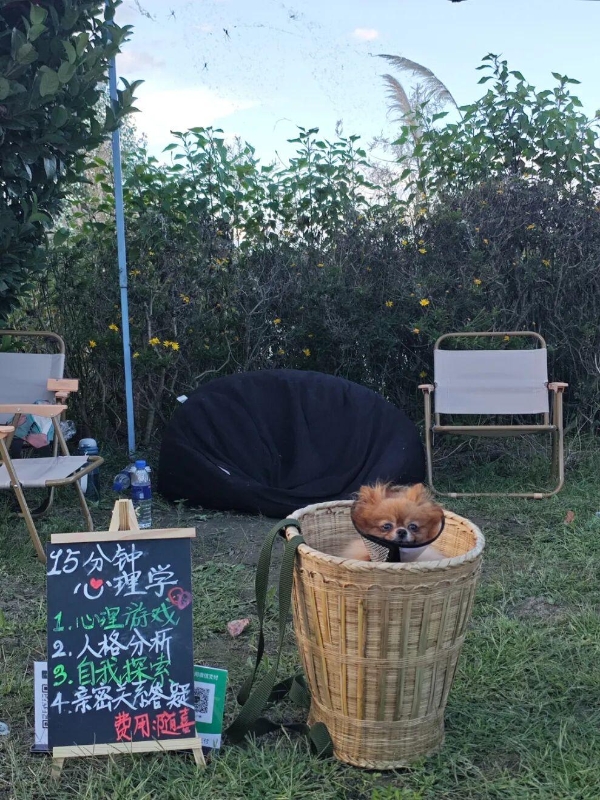 Soul兴趣主理人：从接骨医师到心灵接线员 