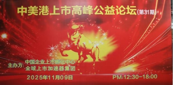 全球上市加速器召开中美港上市高峰公益论坛31期 