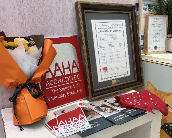 上海安安汪汪小公馆转诊中心通过AAHA认证 以全球高标准引领宠物医疗服务升级