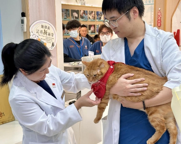 上海安安汪汪小公馆转诊中心通过AAHA认证 以全球高标准引领宠物医疗服务升级