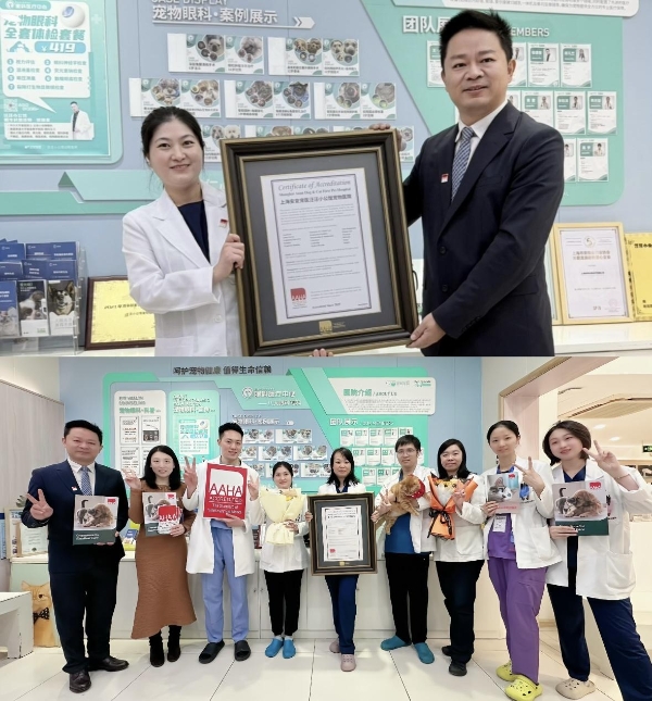 上海安安汪汪小公馆转诊中心通过AAHA认证 以全球高标准引领宠物医疗服务升级