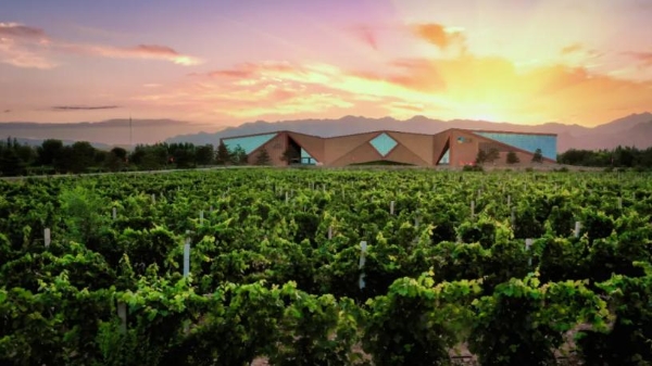 中国酿酒葡萄园碳汇交易首单落地！中粮长城天赋酒庄引领产业“绿色价值”