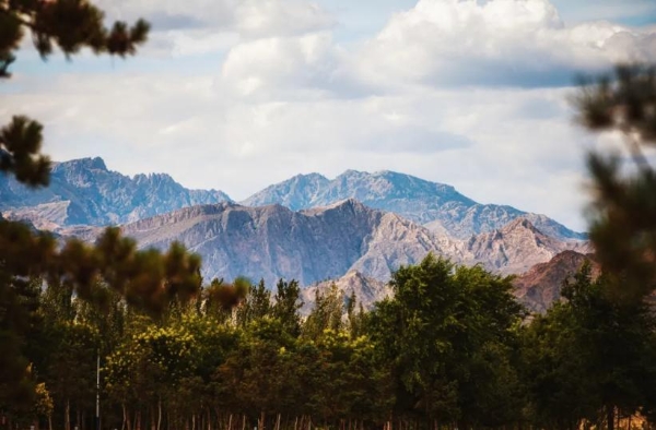 中国酿酒葡萄园碳汇交易首单落地！中粮长城天赋酒庄引领产业“绿色价值”