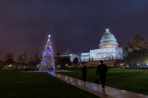 华盛顿特区的冬季魔力 