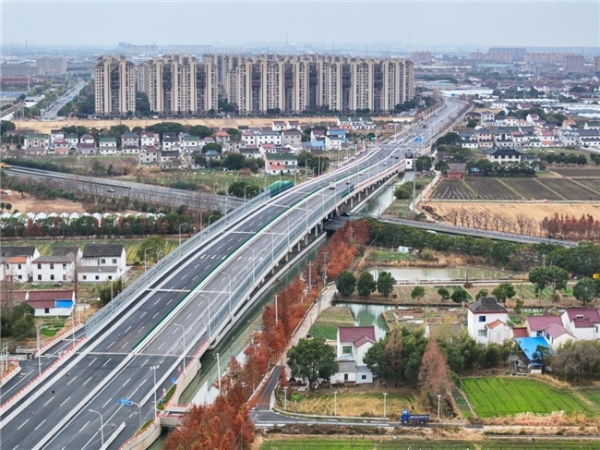 守绿护脉！上海建工G320改建工程保留50年风貌林 