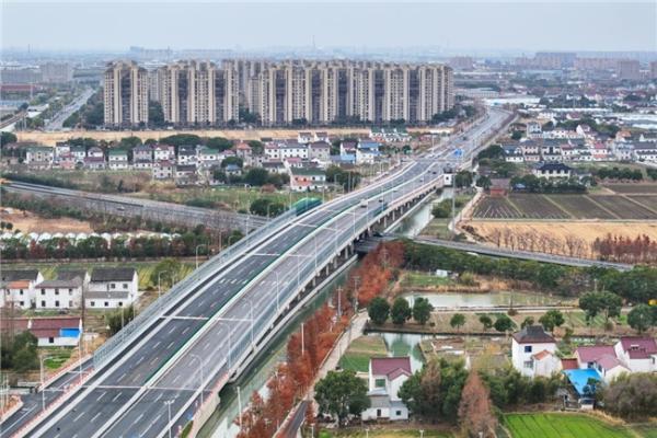 守绿护脉！上海建工G320改建工程保留50年风貌林 