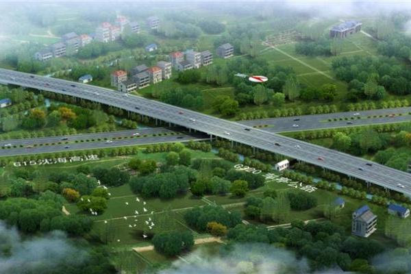 守绿护脉！上海建工G320改建工程保留50年风貌林 