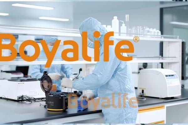 免疫细胞存储机构揭秘：谁能真正为健康“兜底”？ 