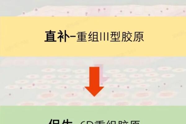 hfp紧致弹嫩精华液好用么？对熬夜垮脸真的有效吗？ 