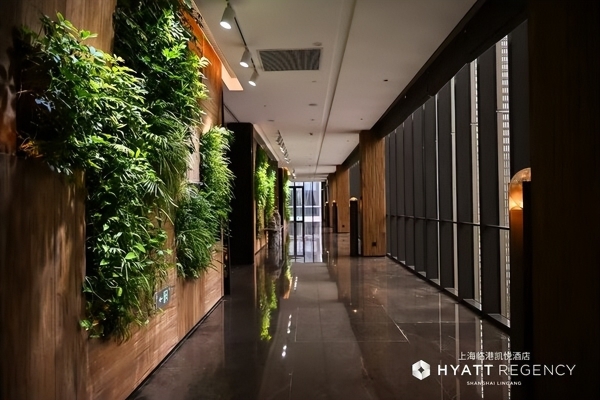 上海临港凯悦酒店群12月1日耀目启幕 双品牌共筑滴水湖畔旅居新地标 